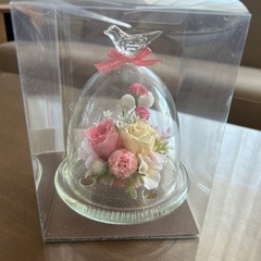 プリザーブドフラワー　ガラスドーム