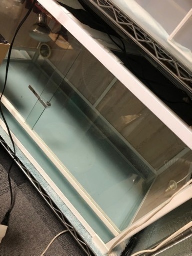 爬虫類ゲージ  1万円