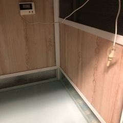 爬虫類ゲージ  1万円の画像