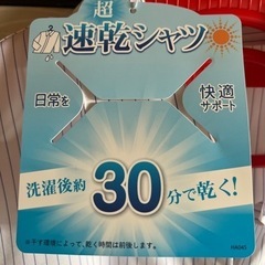 半袖ストライプ レディースブラウス15号の画像