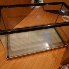 ラピレス60GTL（水槽のみ）