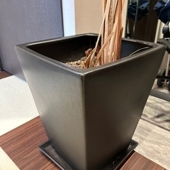 植木鉢（土、枯れ木込み）