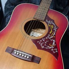 激レア? roje 170S ギター アコースティックギター アコギ