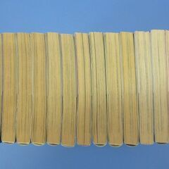 コミック本　ギャングキング　1～13巻の画像
