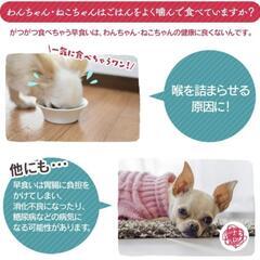 アイリスオーヤマ 早食い防止食器の画像