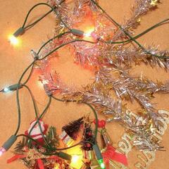 クリスマスツリーの画像