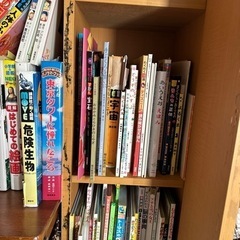 本/CD/DVD 絵本