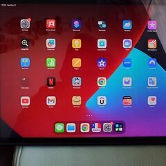 Ipad pro 12.9 256 GB Cellular (5...