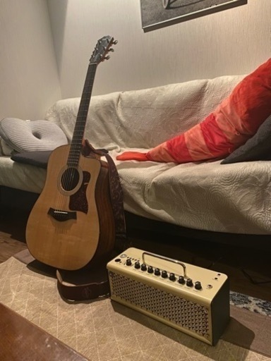 《売ります》Taylor 210ceローズウッドPlus 中古