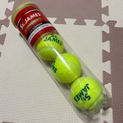 テニスボール4つ入り