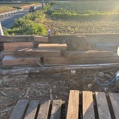 枕木欲しい方あげます。