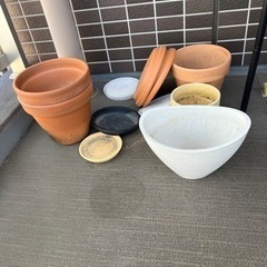 植物の鉢 テラコッタ8点、土、その他数点の画像