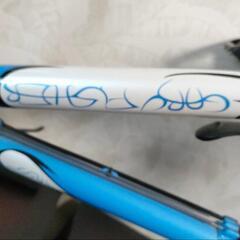 女性用　ゲーリーフィッシャー　Gary Fisher  マウンテンバイクの画像