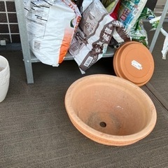 植物の鉢 テラコッタ8点、土、その他数点の画像