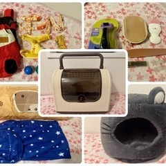 取引完了【購入時期は全て今年の夏以降です】猫用品14点+ボール+...