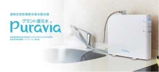 還元水　水素水　浄水器　整水器　プラヴィア新品