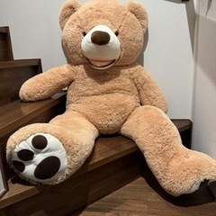 コストコ クマの画像