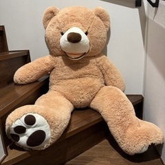 コストコ クマの画像