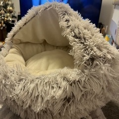 猫ベッド0円　送料のみ負担くださいの画像
