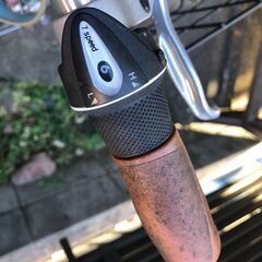 自転車 ブリヂストン MARKROSA 20インチ ミニロベの画像