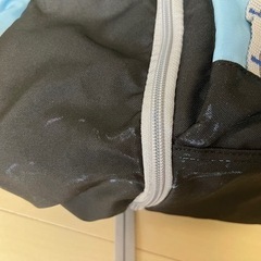 大容量　リュックの画像