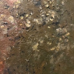 油絵/絵画⭐︎美品⭐︎直筆サイン入り/大きいサイズ　小島謙二紀会会員画家の画像
