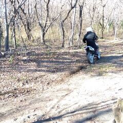 バイクで林の中のコースを走ってくれる仲間をさがしています。 - スポーツ