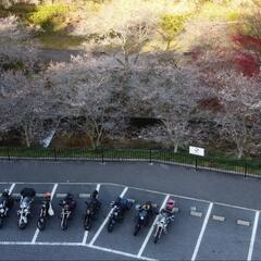 アメリカンバイクチーム　ポッケウタリ - 友達