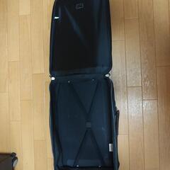 【美品】【値下げ】ananキャリーバッグの画像