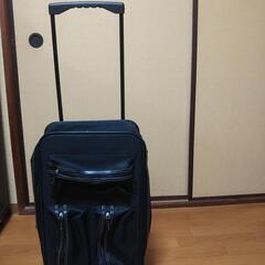 【美品】【値下げ】ananキャリーバッグの画像