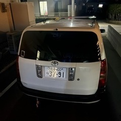 サクシードバンの画像