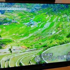 【ご購入者結果】有機ELテレビ55インチ(FUNAI )　おまけに4Kチューナー付き！　★最後までお読みください。パネル焼き付きあり格安！