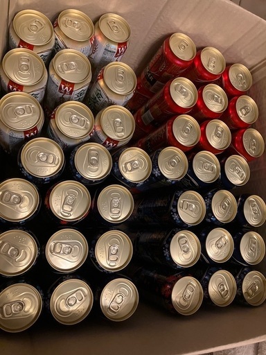ビール酒　１１０本セット　金麦　スプリングバレー　ビール