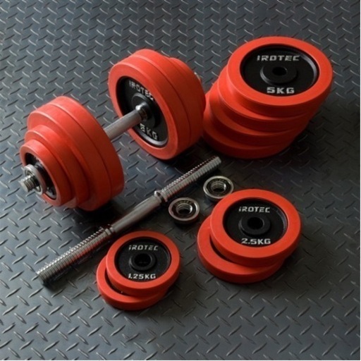 アイロテック ラバー付きダンベル 30kg×2個
