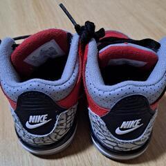 【お値下げ】NIKE ジョーダン 13cmの画像
