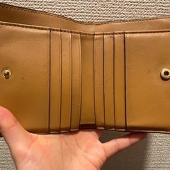決定済み【12/27まで】トリバーチ　財布の画像