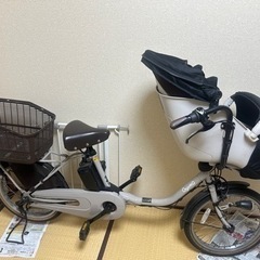 Panasonic Gyutto 2020年3月購入 20型