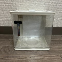 GEX 楽AQUA 水槽の画像