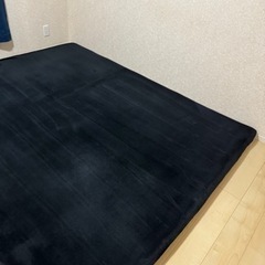 バウヒュッテ　部屋ごとベッドラグ　幅200×奥行250㎝ BBR-250-BKの画像