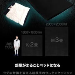 バウヒュッテ　部屋ごとベッドラグ　幅200×奥行250㎝ BBR-250-BKの画像