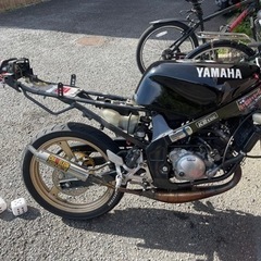 TZR50Rの画像