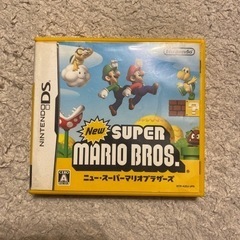 スーパーマリオブラザーズ ds