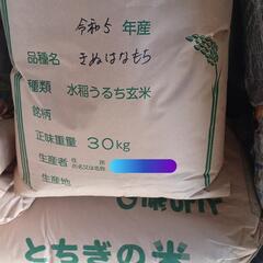 R5年度産『きぬはなもち』精米前11kg超