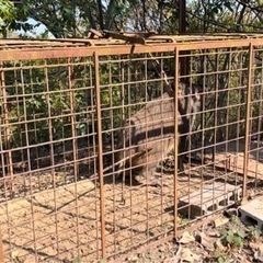 猪や鹿の被害にお困りの方へ