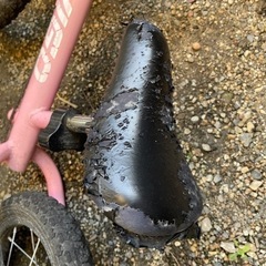 ストライダーの画像