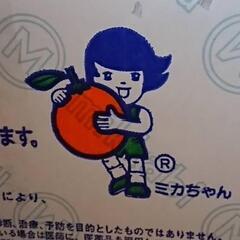 ミカちゃんマークの三ヶ日みかん　採れたてハッサク・レモンの画像