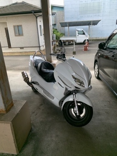 フォルツァ mf08