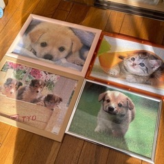 動物のパズル　完成品　4つセット