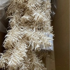 11クリスマスツリーの画像