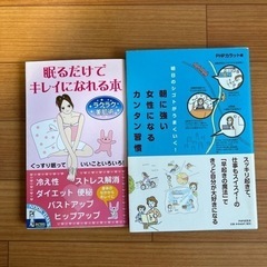 【有料商品と同時引き取りで無料】本　２冊セット